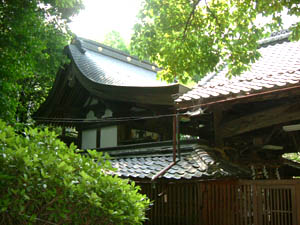 大井神社本殿