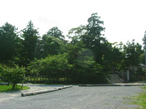 大井神社全景