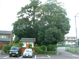 王地山稲荷神社全景