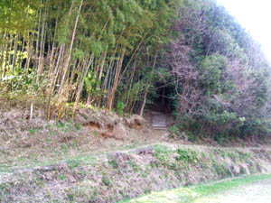 素戔鳴神社全景