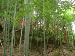 王田神社全景