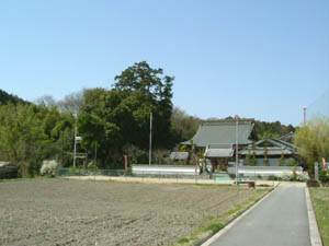 西条八幡宮全景