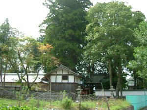 素戔鳴神社全景