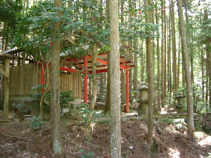 春日神社本殿