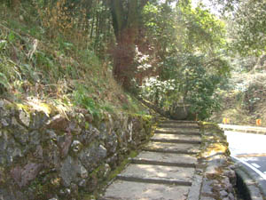 春日神社石段