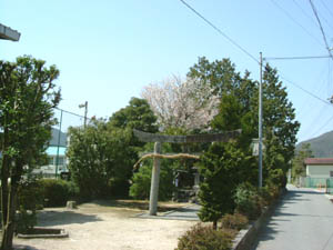 若宮神社全景