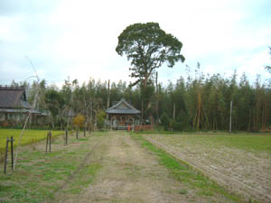 大井神社全景