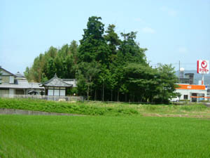 月読神社全景