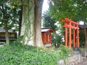 通夜稲荷神社全景