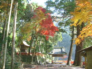 請田神社全景