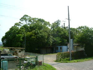 若宮八幡宮全景