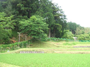 屋磨内神社全景