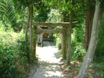 夜苗神社鳥居