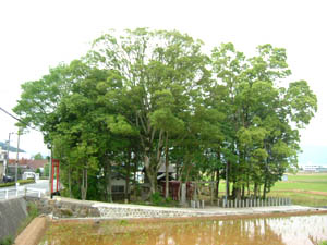 稲荷神社全景