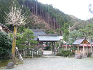 日吉神社全景