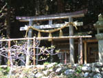 日吉神社鳥居