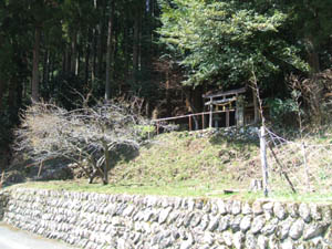 日吉神社全景