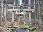 賀茂神社鳥居