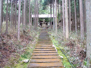 賀茂神社全景