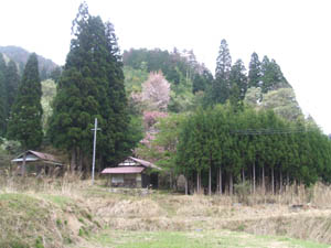 八満宮全景