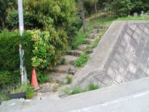 稲荷神社全景