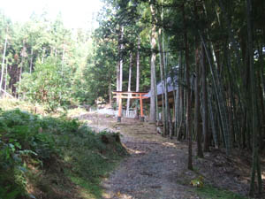 盆徳神社全景