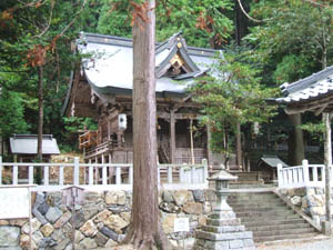 知井八幡宮本殿