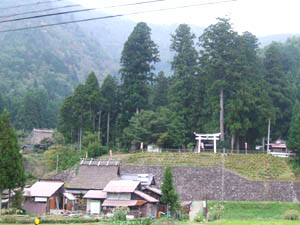 知井八幡宮全景