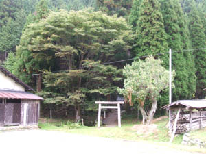 稲森神社全景