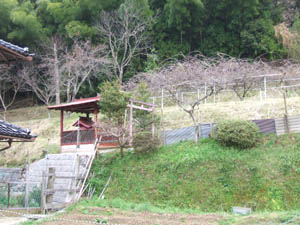 稲荷神社全景