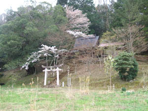 滝神社全景