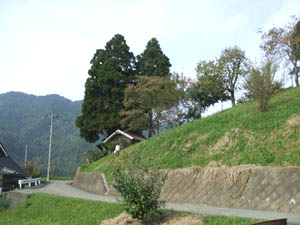 妙見神社全景