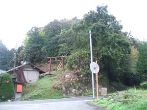 八幡宮全景