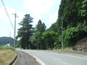 日吉神社全景