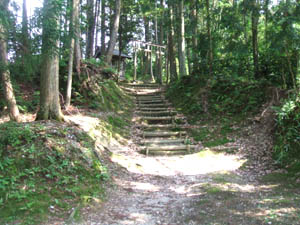 大川神社全景