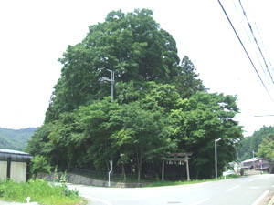 高倉神社全景