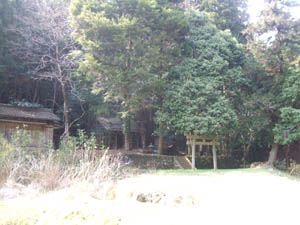 藤井神社全景