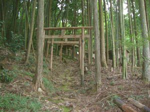 稲荷神社全景