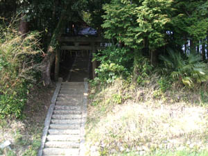 大歳神社全景