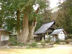 八幡神社全景