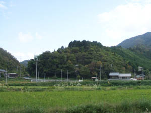 稲荷神社全景