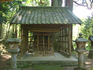 朝倉神社本殿