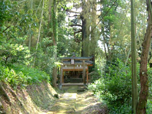 朝倉神社全景