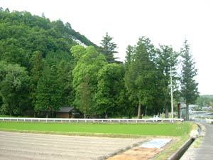 八幡神社全景