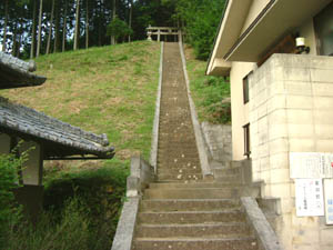 秋葉神社全景