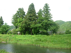 八幡宮全景