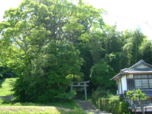 日向神社全景