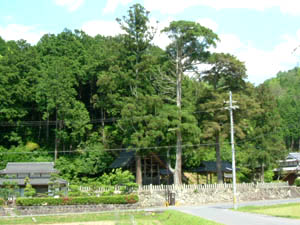 一原神社全景