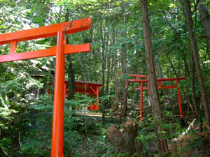 岩波稲荷神社全景