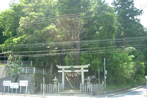 春日神社全景